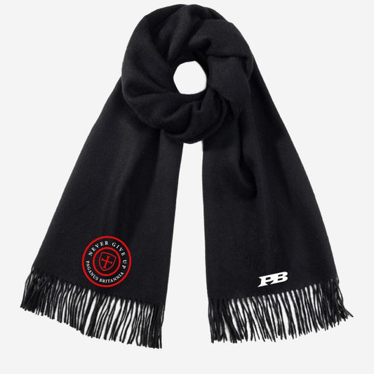Never Give up collection. 100% cashmere blend wool scarf. Pre-order discount. Arriving 25th October.