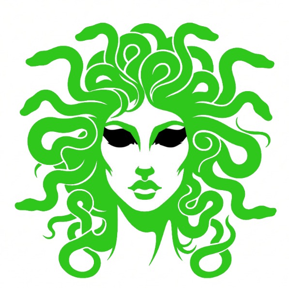 Medusa t-shirt. Gorgeous green and black embroidery design. Paganus Britannia