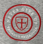 Grey heavy 360 gsm cotton hoodie. Paganus Britannia