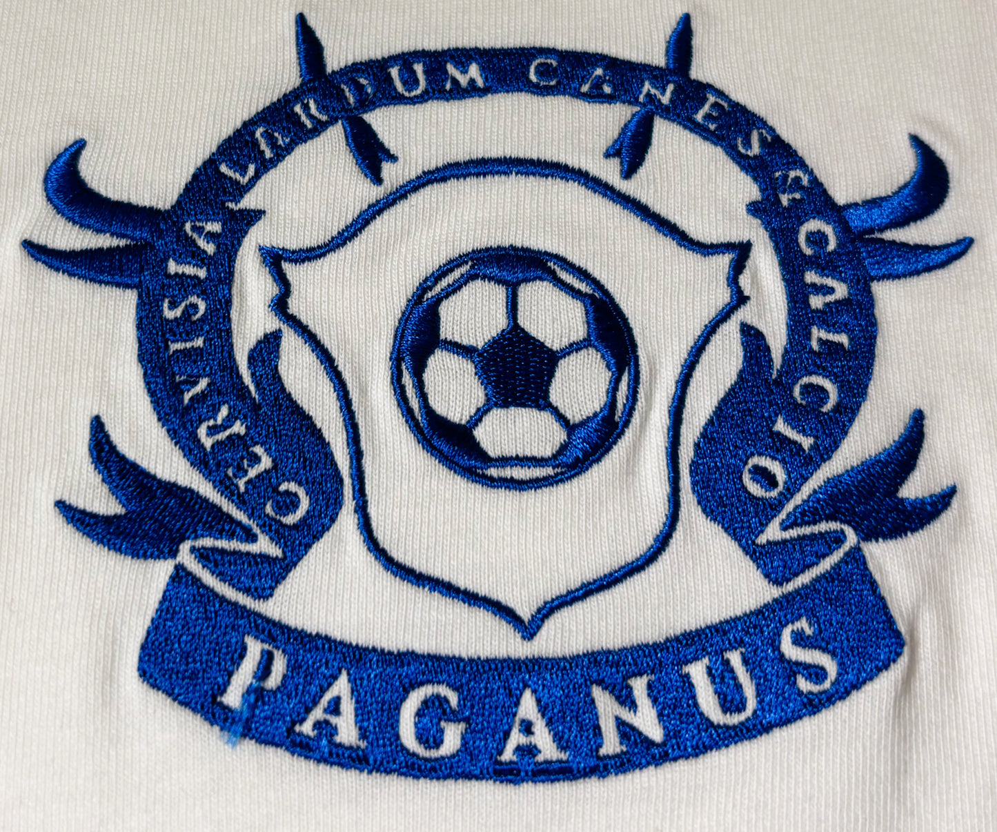 Man wearing a white 280 gsm t-shirt with a blue logo 